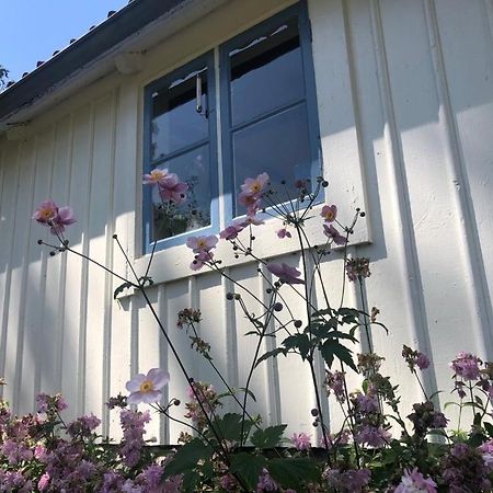 Seaside Cottage Haga Park Frobygarda Bagian luar foto