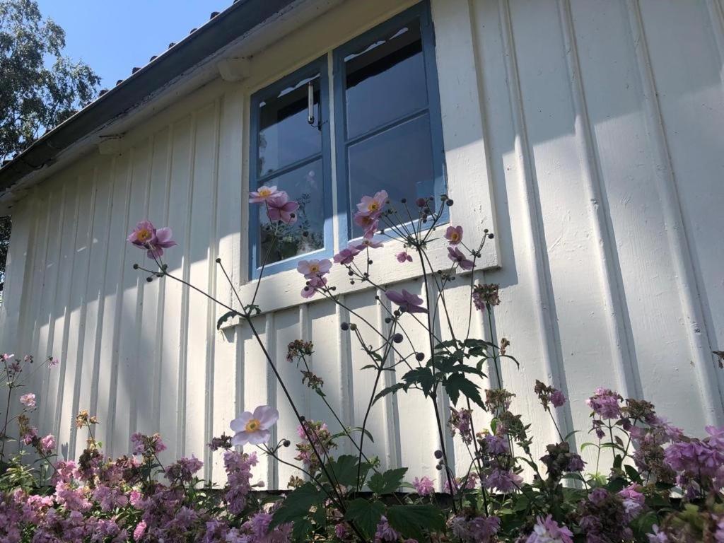 Seaside Cottage Haga Park Frobygarda Bagian luar foto